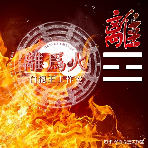 木火運|【木火人】木火之人：深入解析性格特質與命理特徵